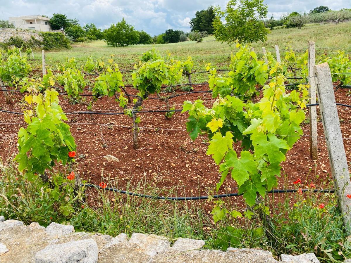 Trullo Foodie Villa Cisternino Exterior photo